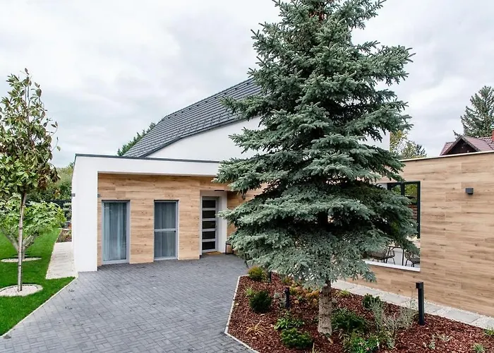 Estelle - Pool, Jacuzzi, Sauna - Balaton Villa Balatonkenese